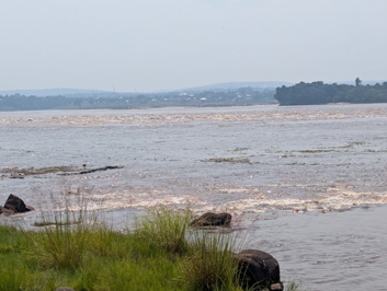 Congo Rapids, 6 miles West of Kinshasa, Kinshasa, Democratic Republic of Congo, 2026 SW Africa - Part 2